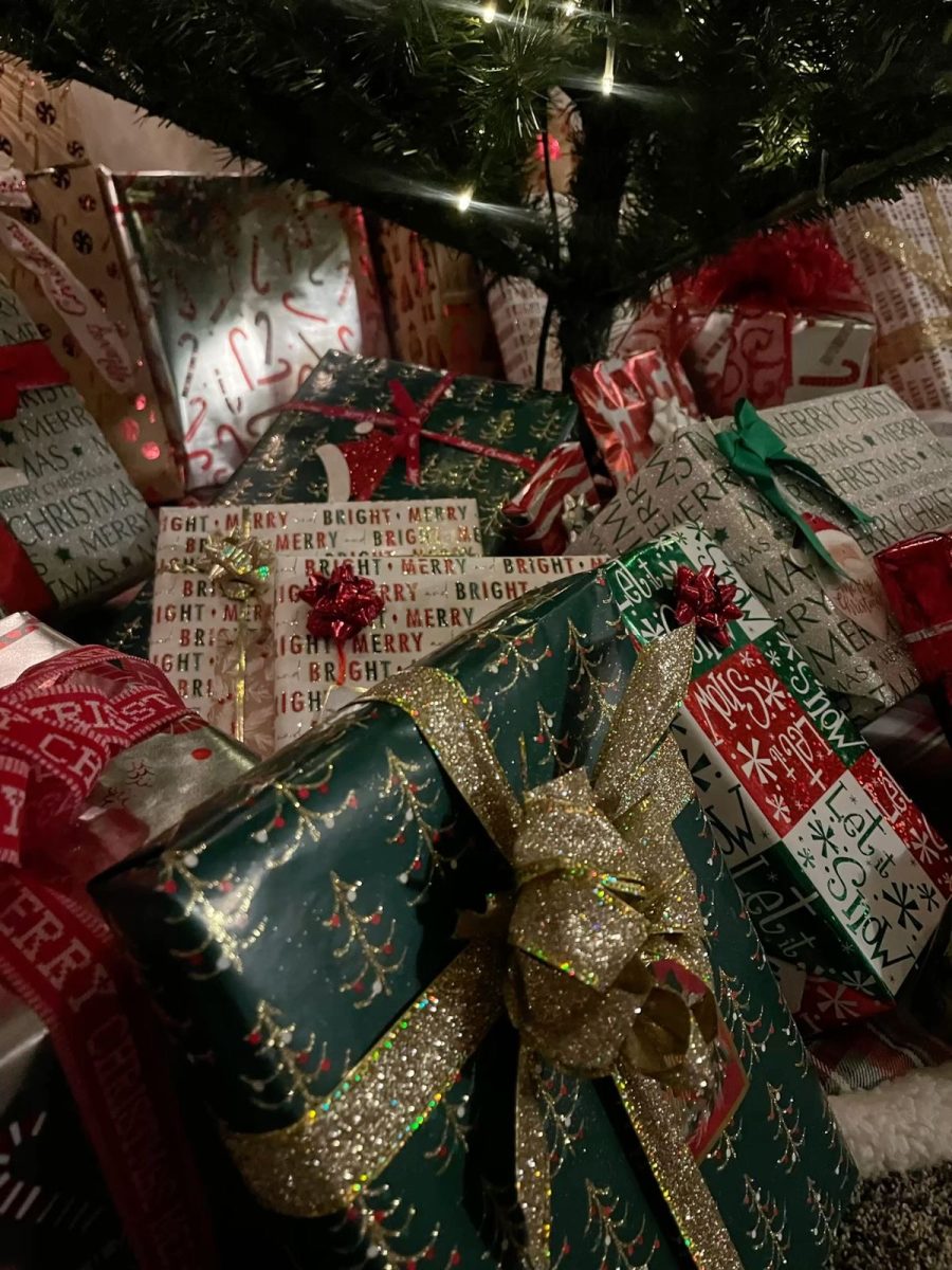 Holiday Gift Guide