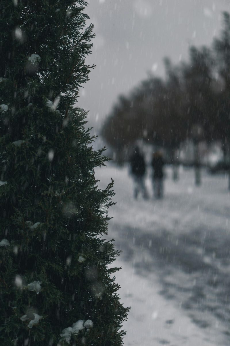Combat The Winter Blues